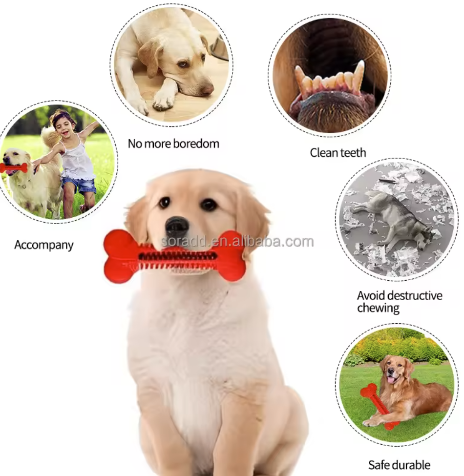 Dog Bone Shape Chew Toys for Dog Teeth Cleaning