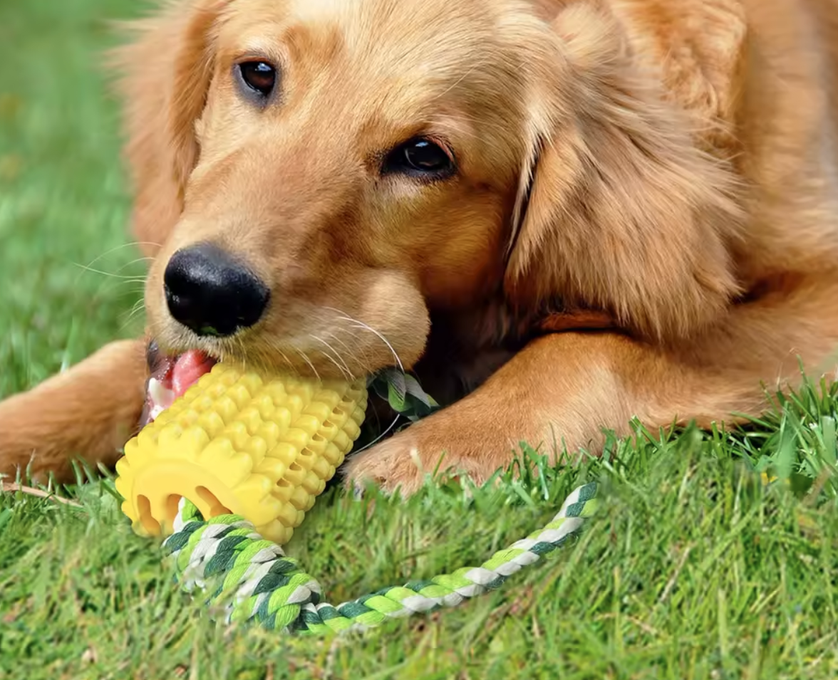 Indestructible Tough Durable Squeaky Corn Stick Toy