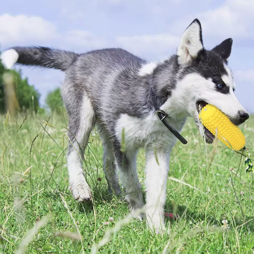 Indestructible Tough Durable Squeaky Corn Stick Toy
